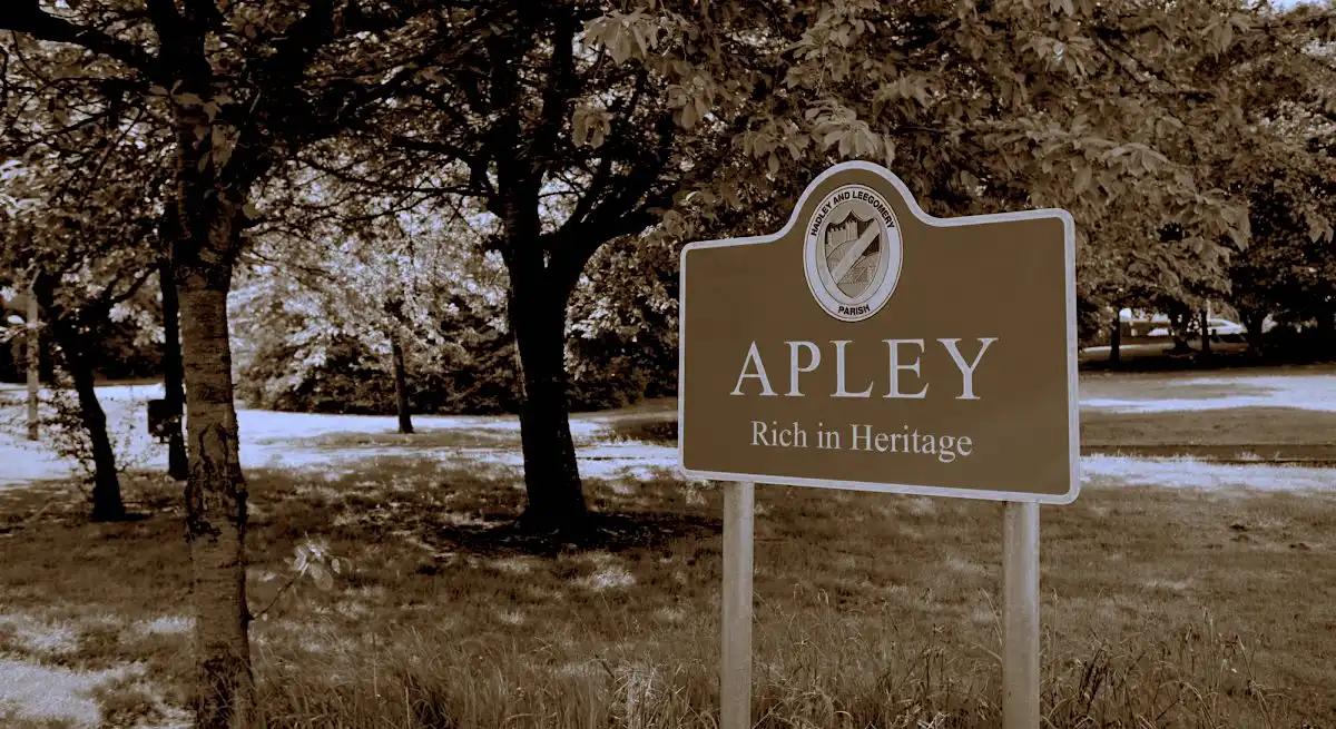 Apley woods in Telford, where RightMark driving lessons take place